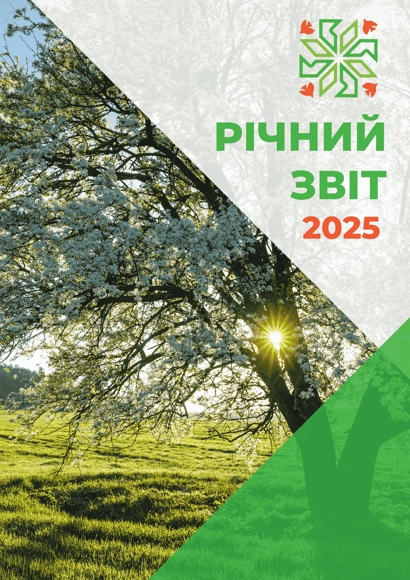 UKR Vesna Report 2025